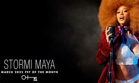 stormi maya penthouse nude|March 2022 Pet of the Month Stormi Maya